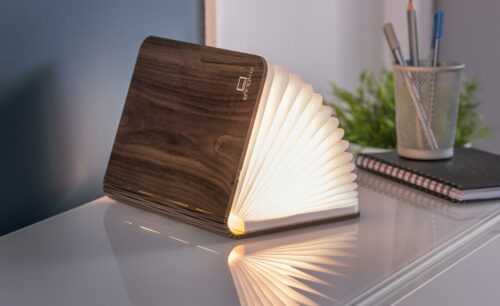 ginko-design-img